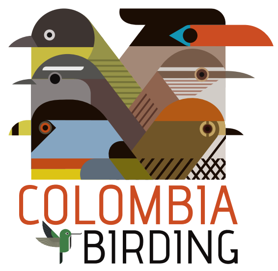 Colombia Birding