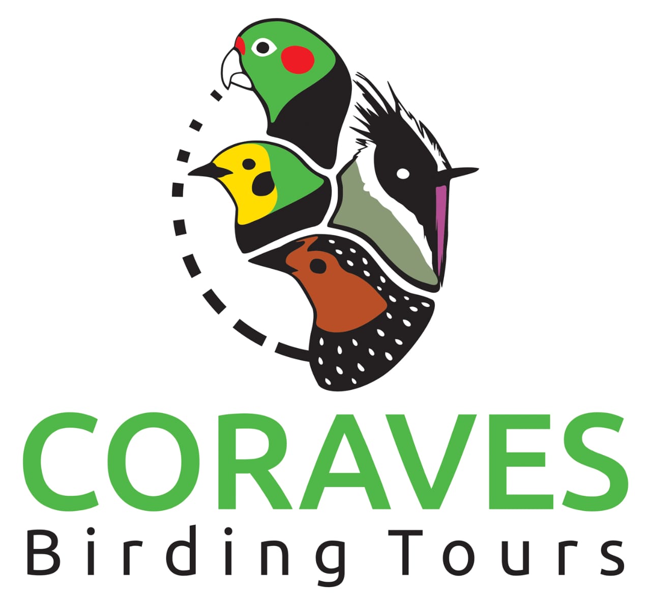 Coraves