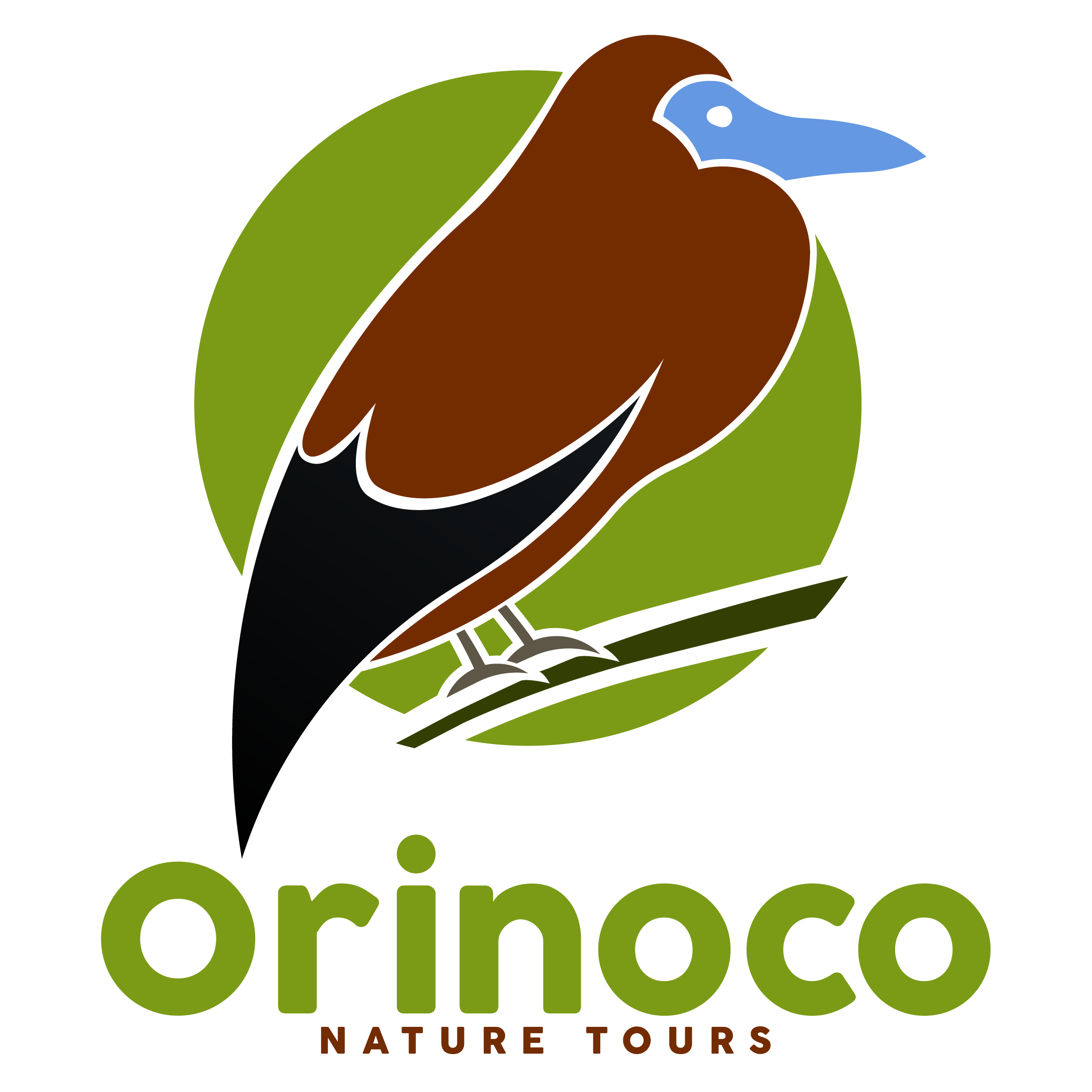 Logo Orinoco nature tours_Mesa de trabajo 1